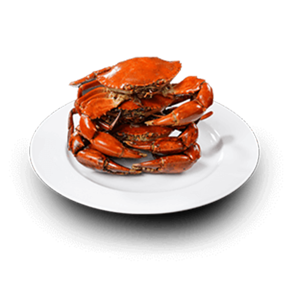 Live Crab XL