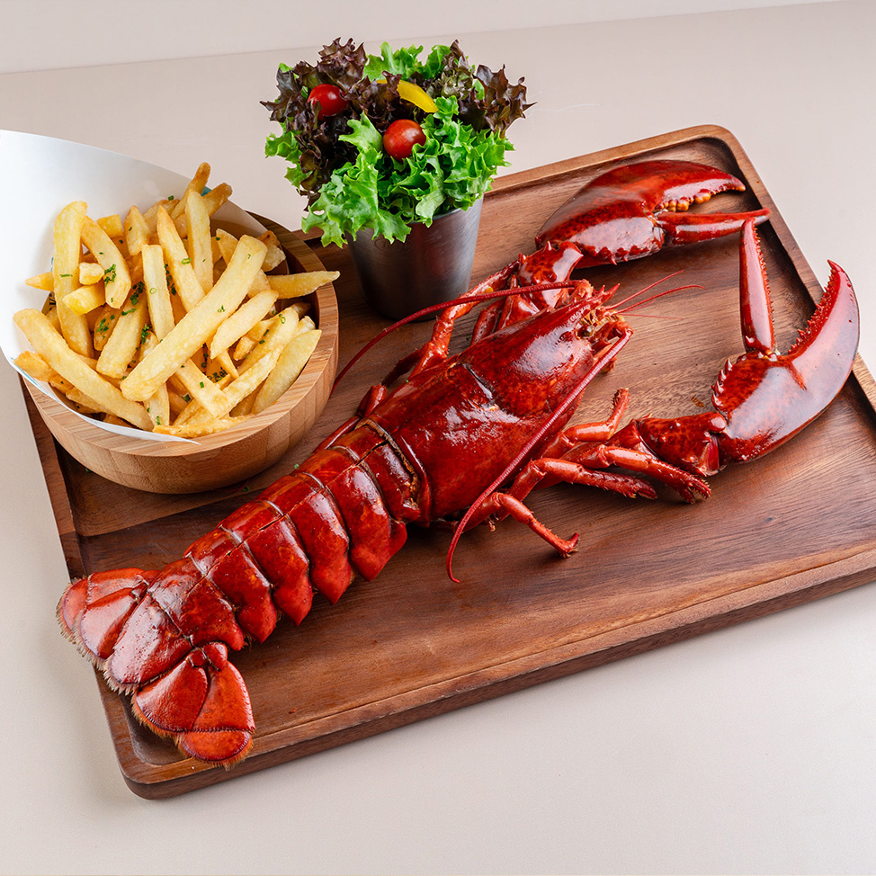 Live Canadian Lobster