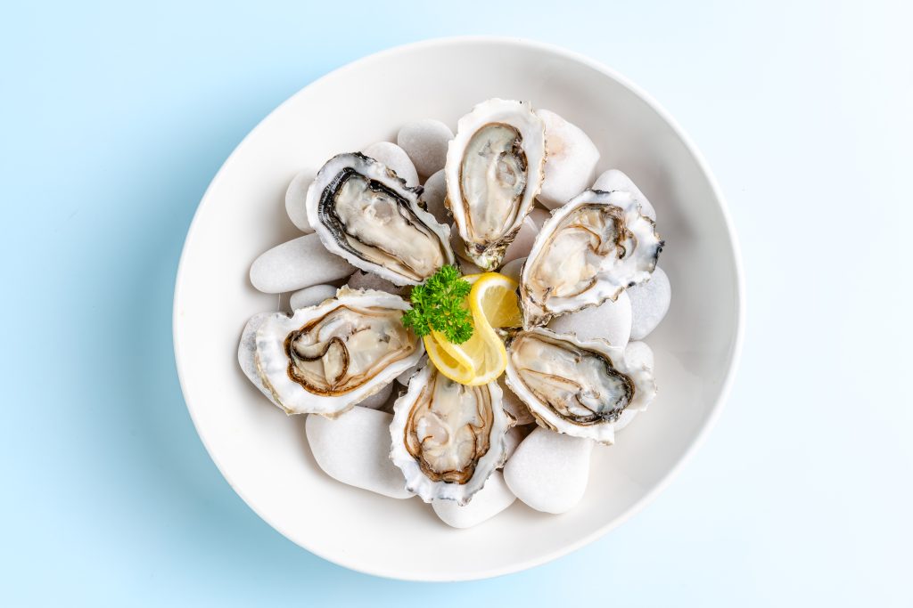 XL Premium US Oyster