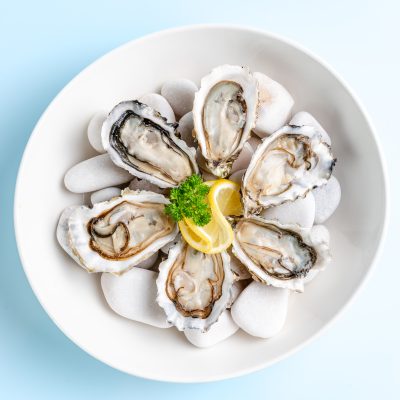 XL Premium US Oyster