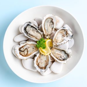 XL Premium US Oyster