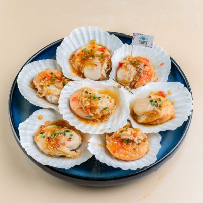scallop shell on 600g